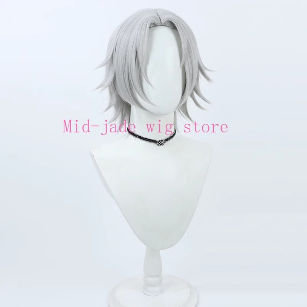 วิกผมคอสเพลย์ Hayato Gokudera  - Photography Japanese บทวิจารณ์และราคา